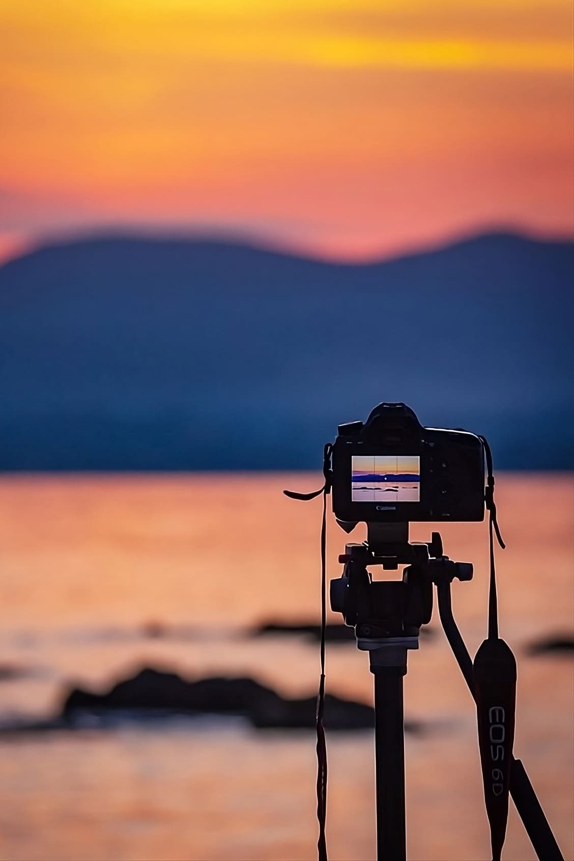 Video & Photography